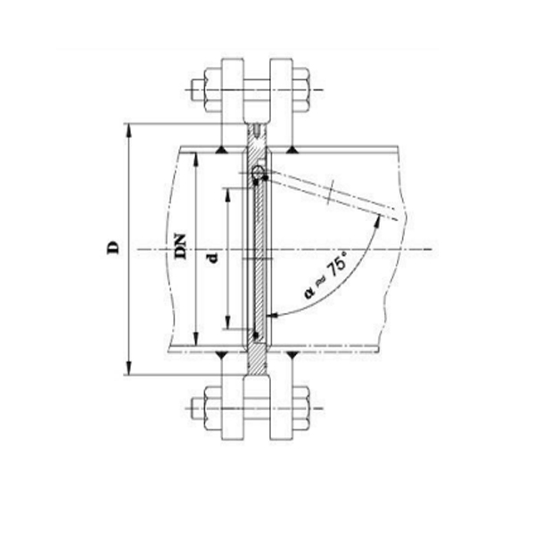 CBT3819-99 Board style check valve1.jpg